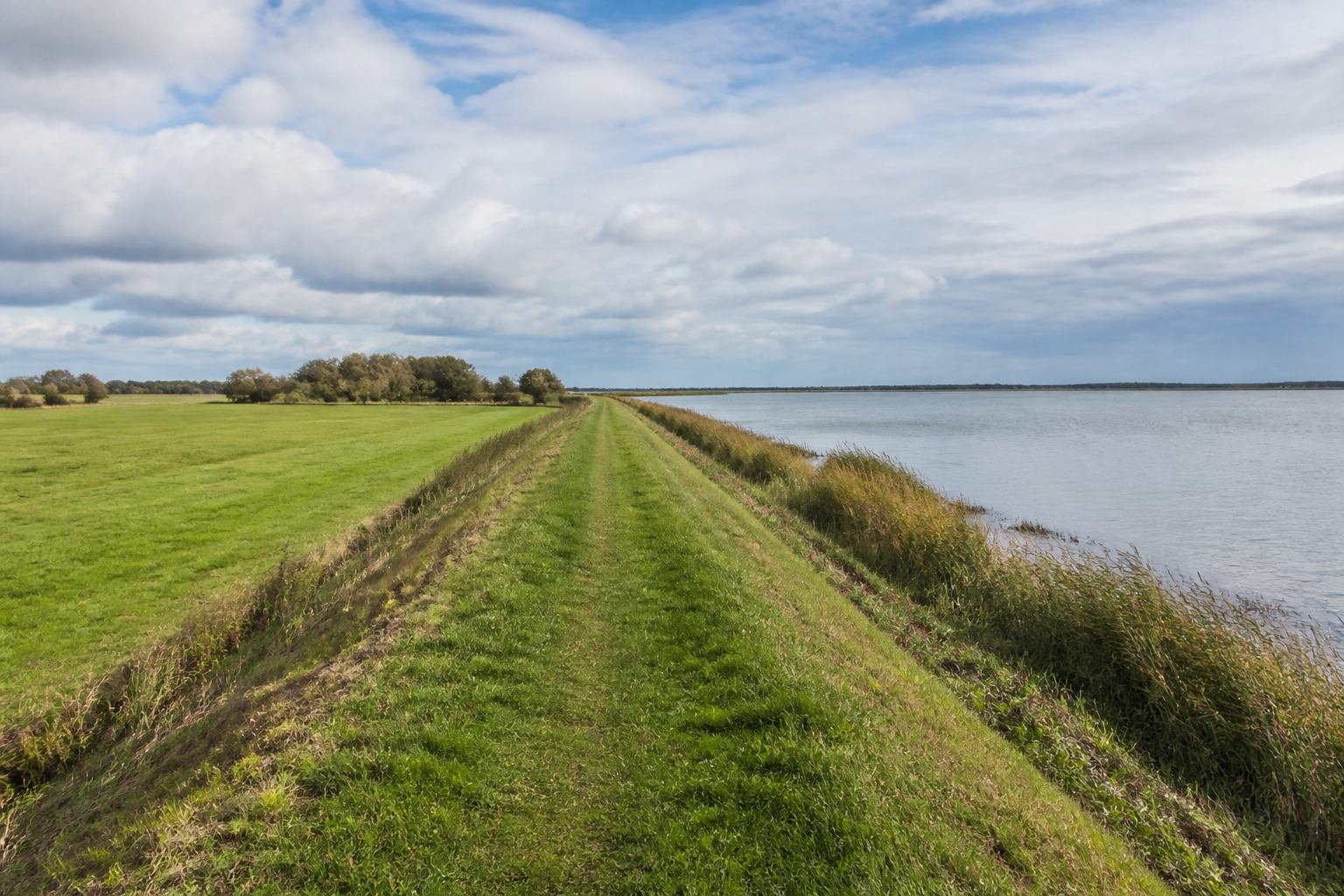 Grass dike path beside reed shores and shallow water at Dümmer See
