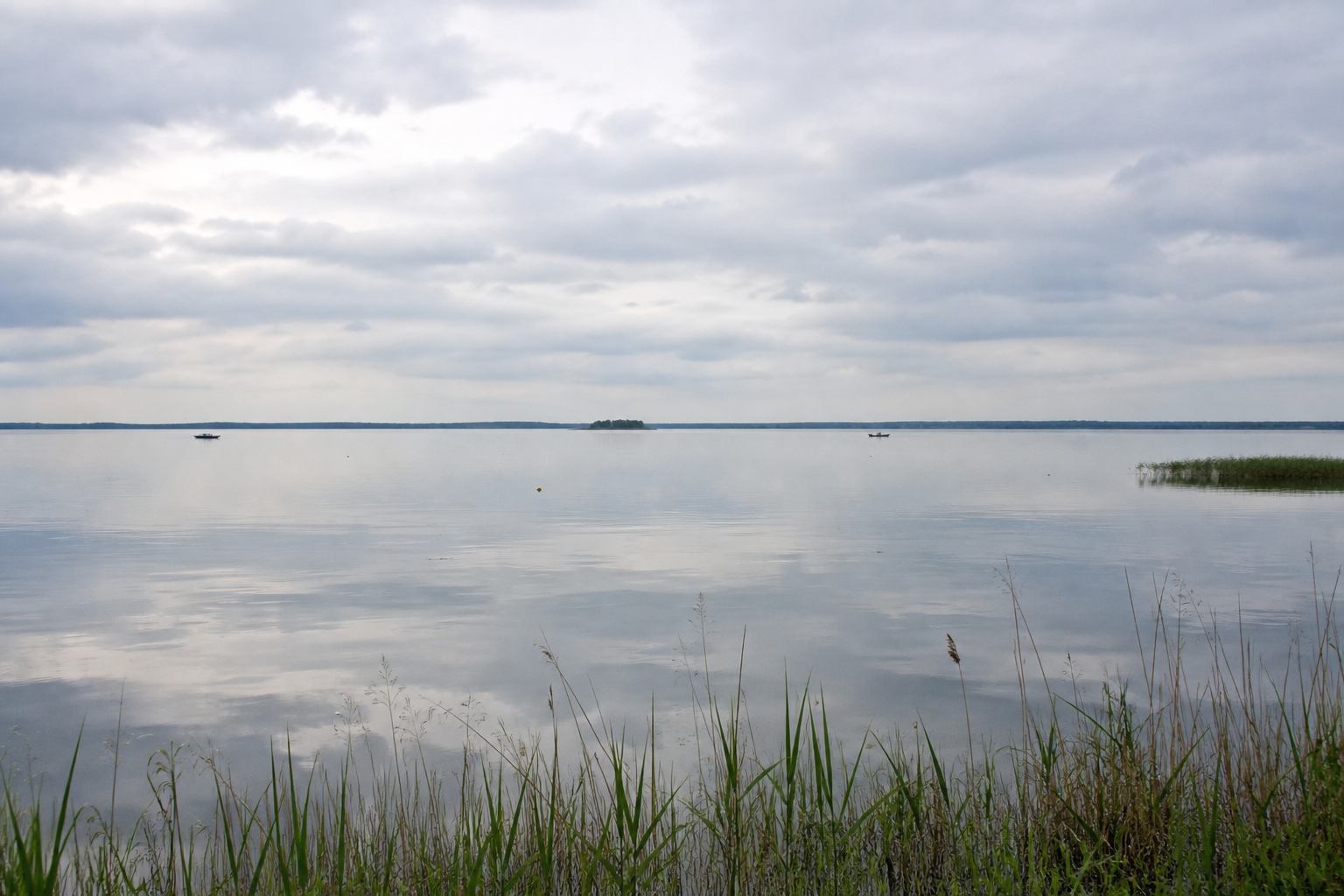 Wide silver surface of Steinhuder Meer with a low horizon and reed fringe